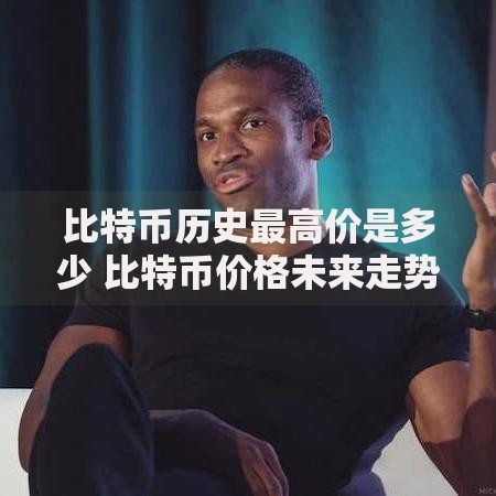 比特币历史最高价是多少 比特币价格未来走势如何 比特币投资回报率分析 比特币减半对价格影响大吗