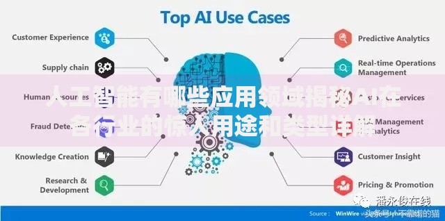 人工智能有哪些应用领域揭秘AI在各行业的惊人用途和类型详解
