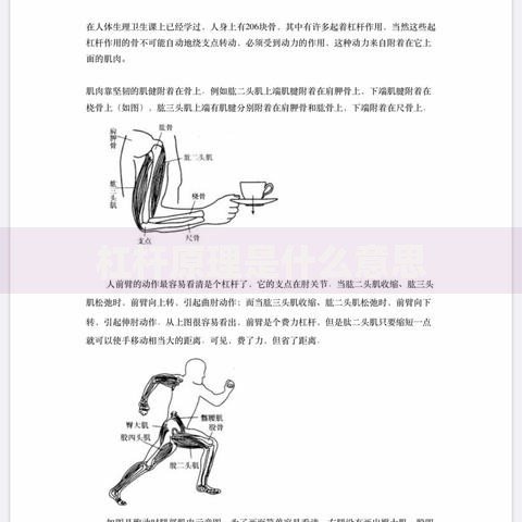 杠杆原理是什么意思