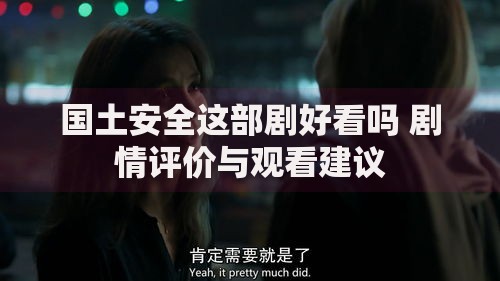 国土安全这部剧好看吗 剧情评价与观看建议