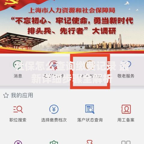 社保怎么查询缴费记录 最新详细步骤全解析