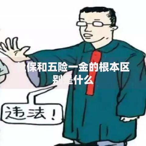 社保和五险一金的根本区别是什么