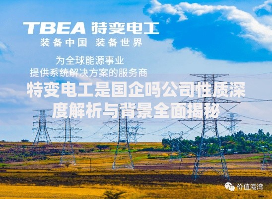 特变电工是国企吗公司性质深度解析与背景全面揭秘