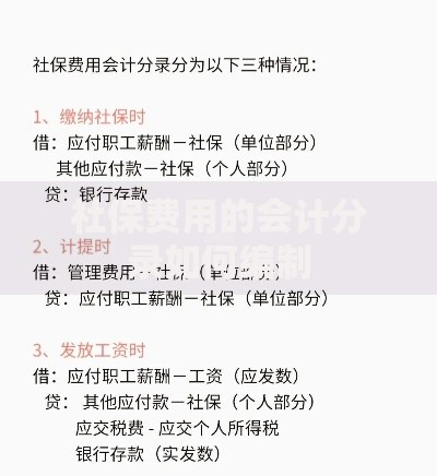 社保费用的会计分录如何编制