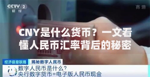 CNY是什么货币？一文看懂人民币汇率背后的秘密
