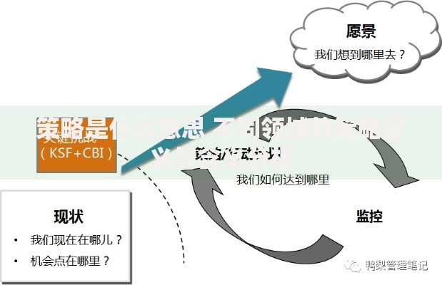 策略是什么意思 不同领域的策略定义与含义分析
