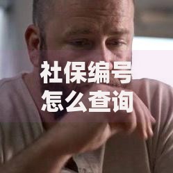 社保编号怎么查询教你三种最快捷的查询方法