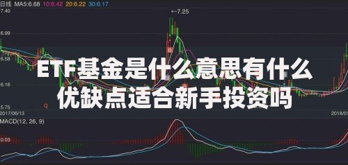 ETF基金是什么意思有什么优缺点适合新手投资吗