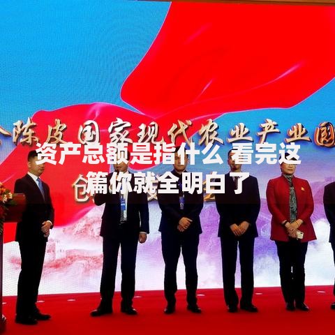 资产总额是指什么 看完这篇你就全明白了