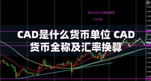 CAD是什么货币单位 CAD货币全称及汇率换算 CAD是什么货币单位 CAD货币全称及汇率换算