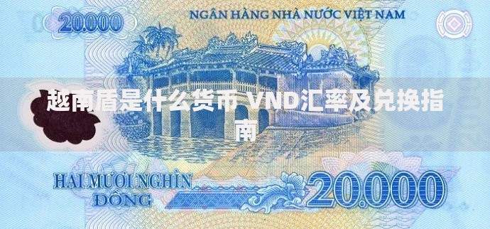 越南盾是什么货币 VND汇率及兑换指南