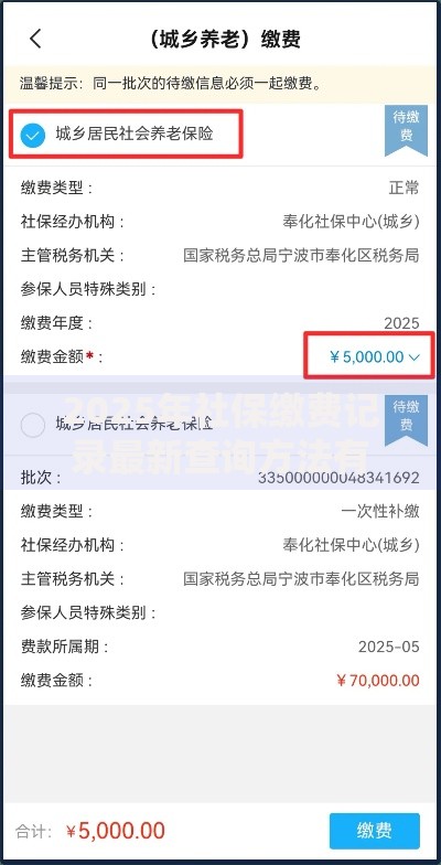 2025年社保缴费记录最新查询方法有哪些如何网上查养老保险缴费年限