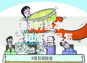 投标的基本概念和流程是怎样的