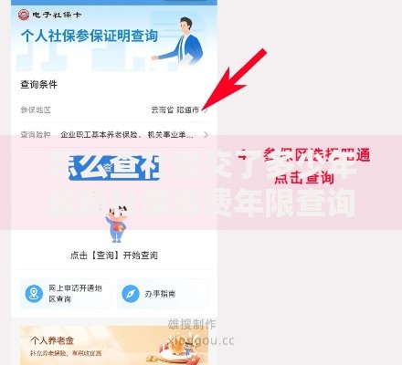 怎么查社保交了多少年最新社保缴费年限查询详细步骤指南