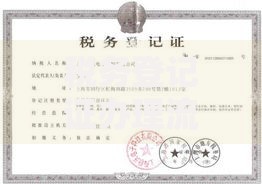 税务登记证办理流程及所需材料详解