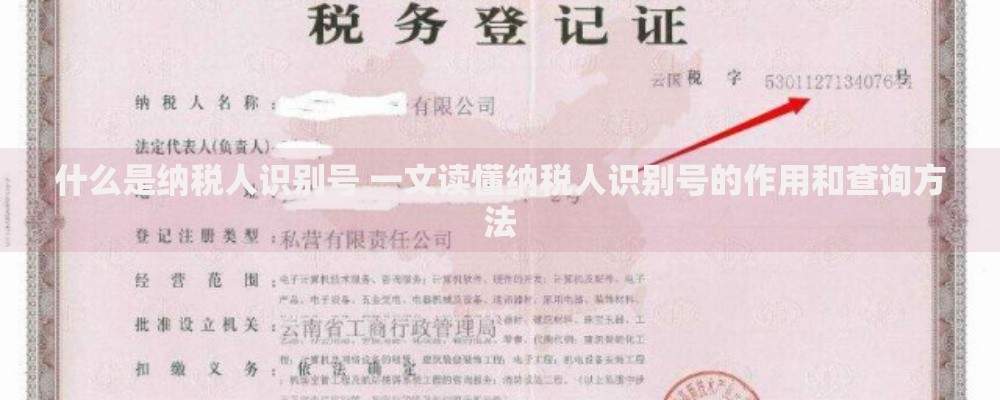 什么是纳税人识别号 一文读懂纳税人识别号的作用和查询方法