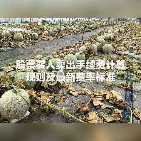 股票买入卖出手续费计算规则及最新费率标准