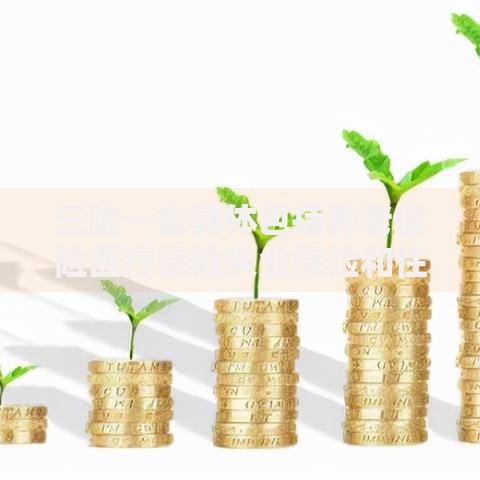 三险一金具体包括养老保险医疗保险失业保险和住房公积金