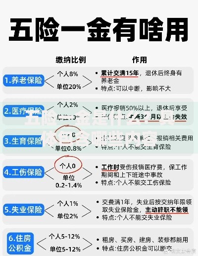 五险一金是什么？具体包含哪些内容