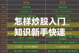 怎样炒股入门知识新手快速入门炒股完整指南
