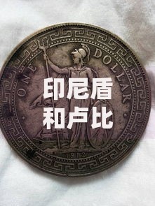 印尼盾和卢比有什么区别 R货币符号代表哪个国家的钱