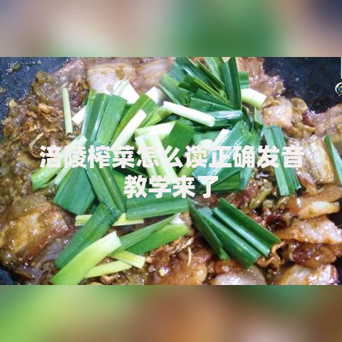 涪陵榨菜怎么读正确发音教学来了