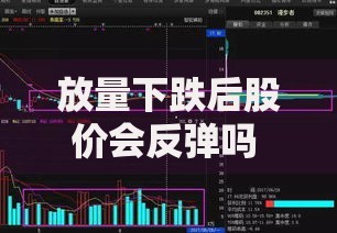 放量下跌后股价会反弹吗 放量下跌是洗盘还是出货 如何判断放量下跌后的操作策略