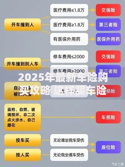 2025年最新车险购买攻略 这样买车险最省钱又划算