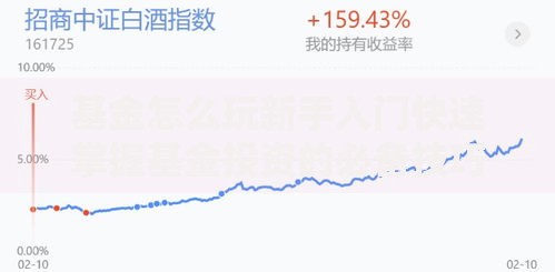 基金怎么玩新手入门快速掌握基金投资的必备技巧指南