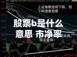 股票b是什么意思 市净率指标详解及投资应用技巧