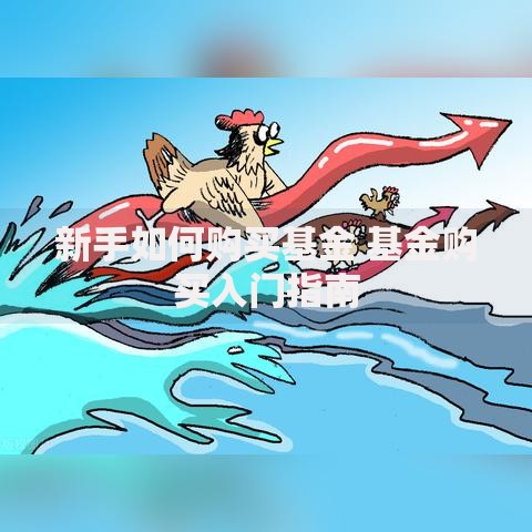 新手如何购买基金 基金购买入门指南