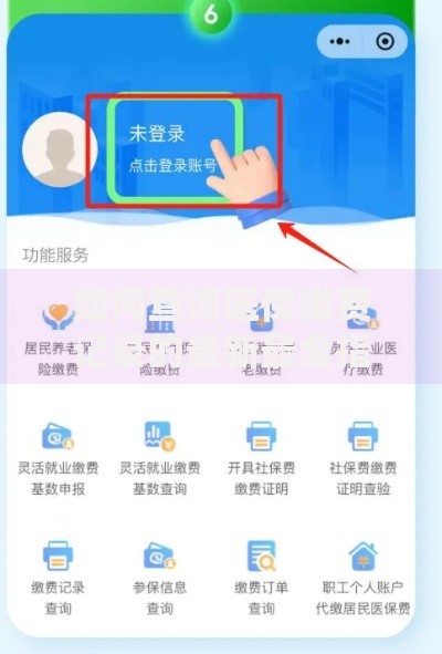 如何查询医保缴费记录的最新最全指南