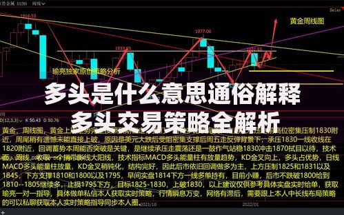 多头是什么意思通俗解释 多头交易策略全解析