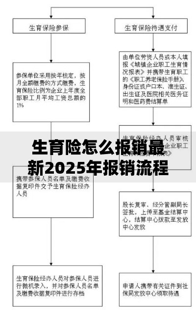 生育险怎么报销最新2025年报销流程和所需材料全攻略