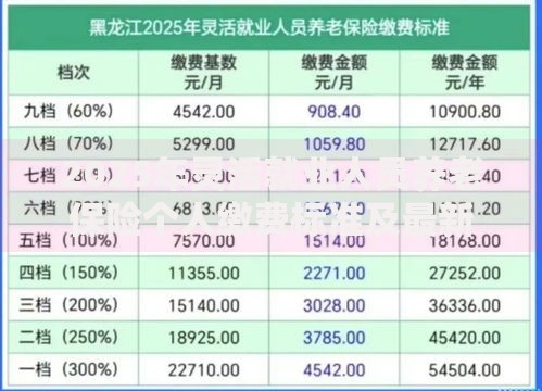 2025年灵活就业人员养老保险个人缴费标准及最新政策解读