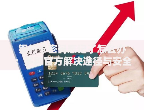 银行卡密码忘记了怎么办：多种官方解决途径与安全指南