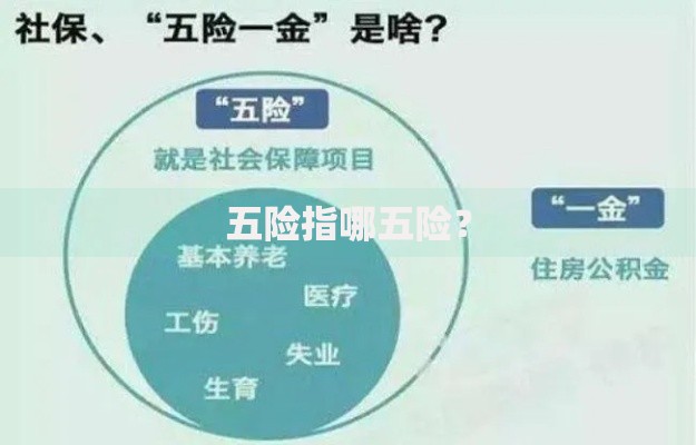 五险指哪五险？