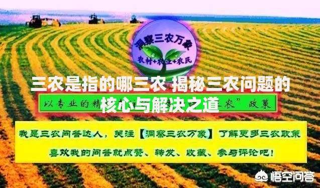 三农是指的哪三农 揭秘三农问题的核心与解决之道