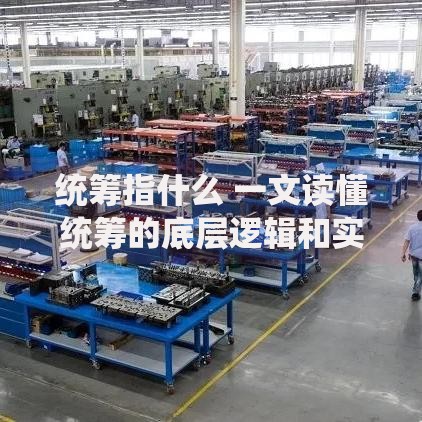 统筹指什么 一文读懂统筹的底层逻辑和实际应用
