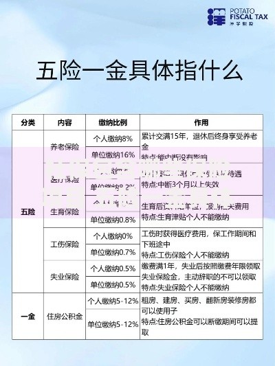 社保包含哪些保险项目 五险一金具体指什么
