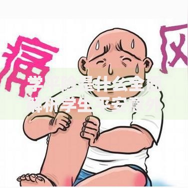 学平险是什么全面解析学生平安意外险的含义保障与作用