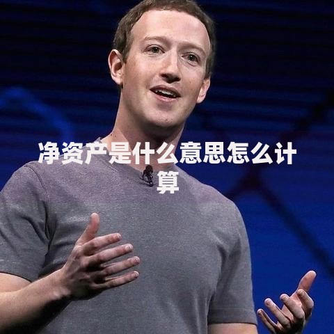 净资产是什么意思怎么计算
