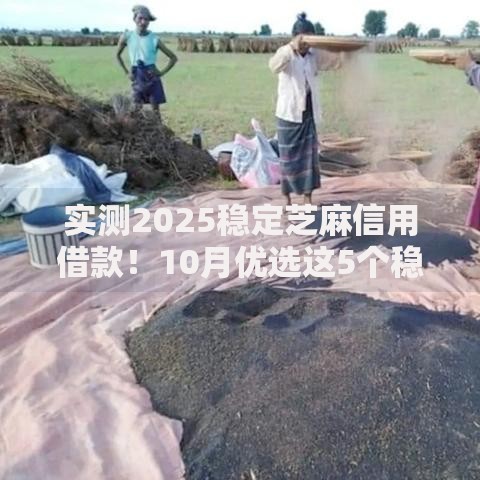 实测2025稳定芝麻信用借款！10月优选这5个稳定芝麻信用网贷平台借钱