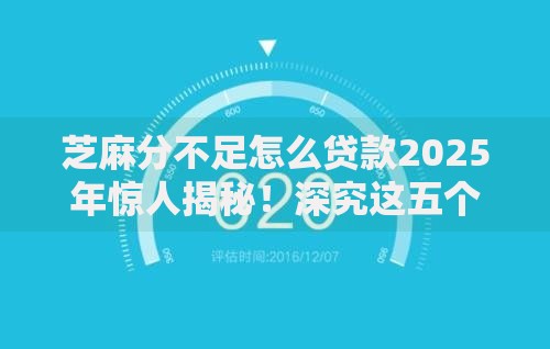 芝麻分不足怎么贷款2025年惊人揭秘！深究这五个无视黑白户的分期口子
