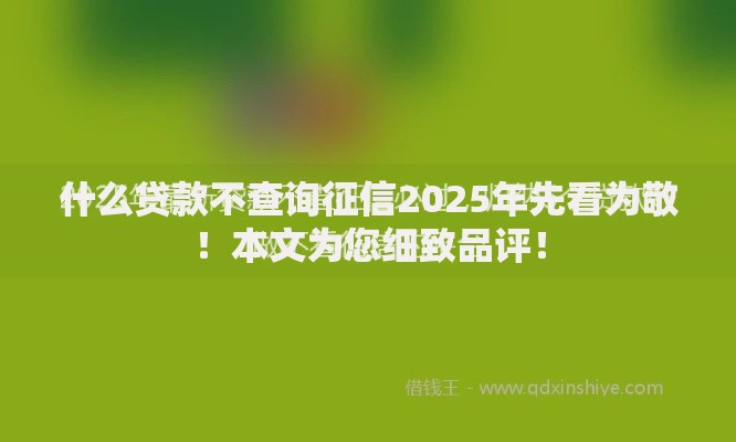 什么贷款不查询征信2025年先看为敬！本文为您细致品评！