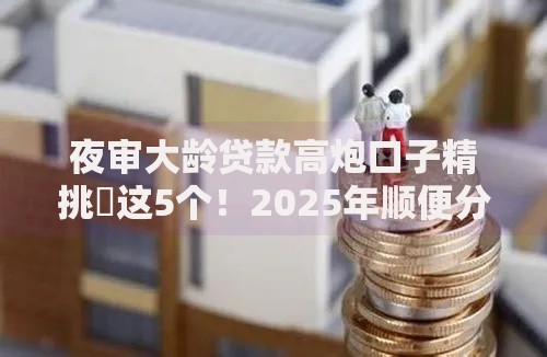 夜审大龄贷款高炮口子精挑​这5个！2025年顺便分享夜审大龄借钱高炮平台