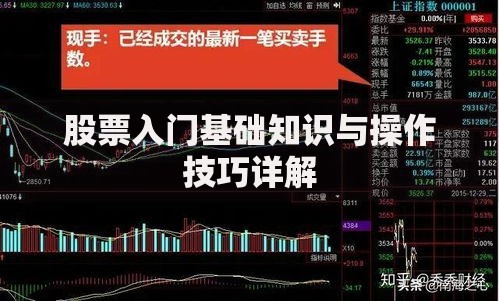 股票入门基础知识与操作技巧详解