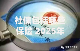 社保包括哪些保险 2025年最新社保五险全解析