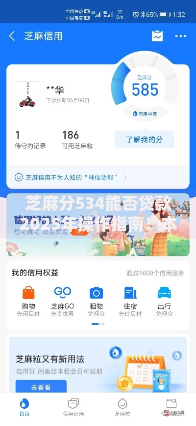芝麻分534能否贷款2025年操作指南！本文为您精心点评！