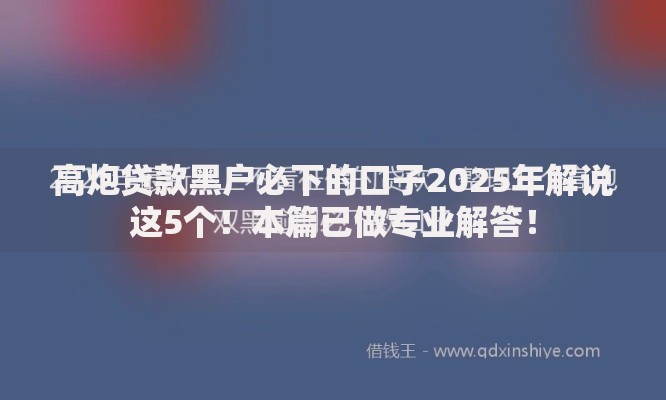 高炮贷款黑户必下的口子2025年解说这5个！本篇已做专业解答！